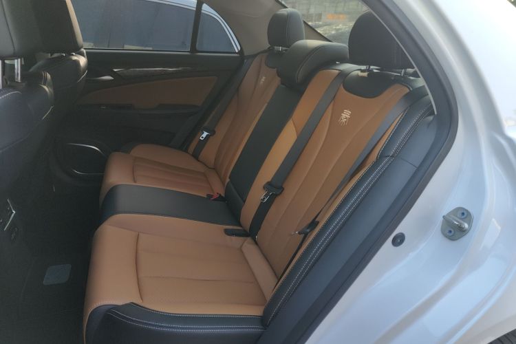 BYD Qin New Energy 2018 car image #14