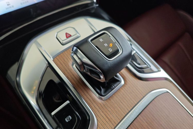 HongQi E-HS9 2021 immagine di auto #14