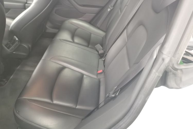 特斯拉 Model 3(进口) 2019 汽车图片 #14