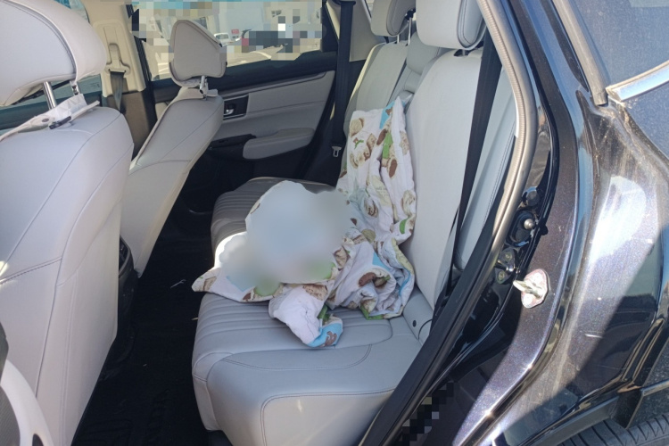 Honda Breeze New Energy 2023 car image #14