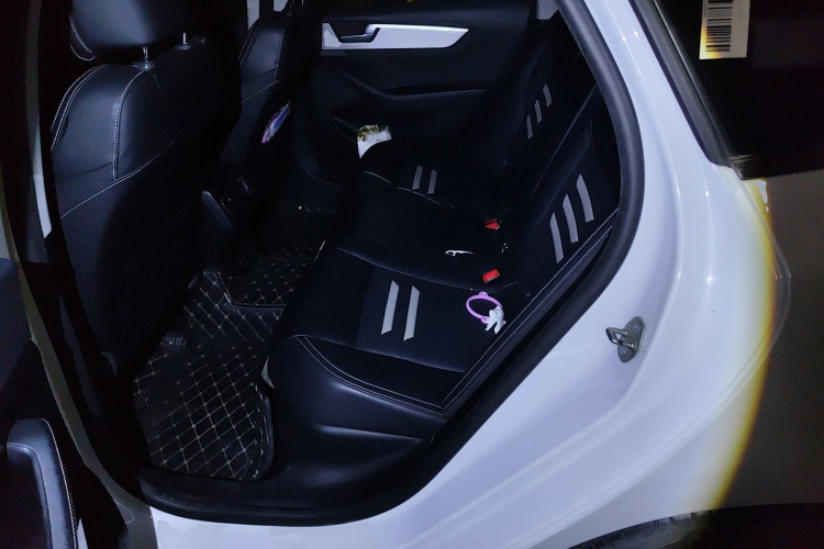 BYD Qin Pro 2020 car image #14