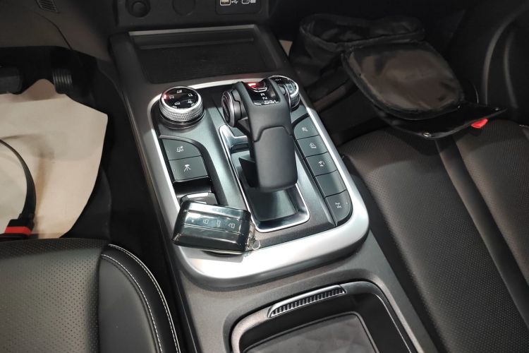 Tank 300 New Energy 2024 imagem de carro #14