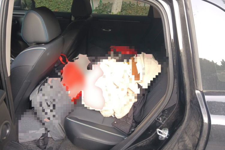 Honda HR-V 2024 #14 Honda HR-V 2024 car image #14