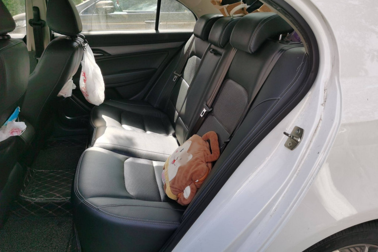 GEELY Emgrand New Energy 2018 car image #14