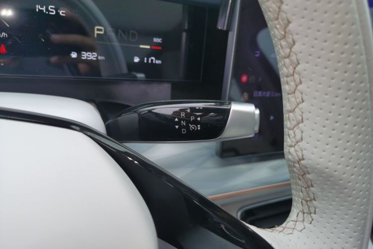 Neta L 2024 imagen de coche #14