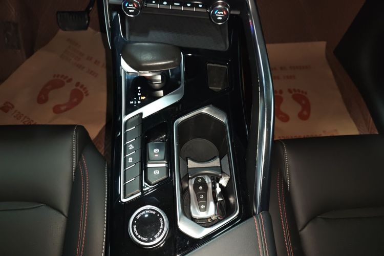 GEELY Tugella S 2021 immagine di auto #14