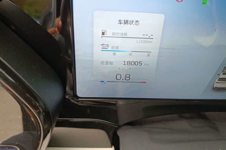 GEELY Tugella 2022 car image #14