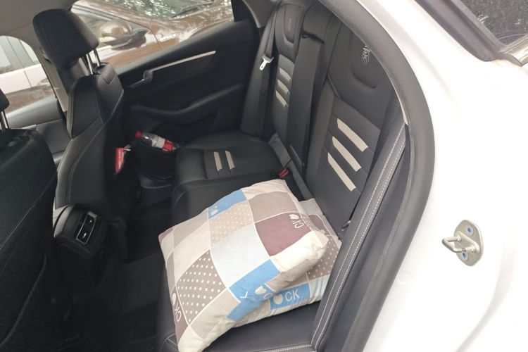 BYD Qin Pro New Energy 2018 car image #14