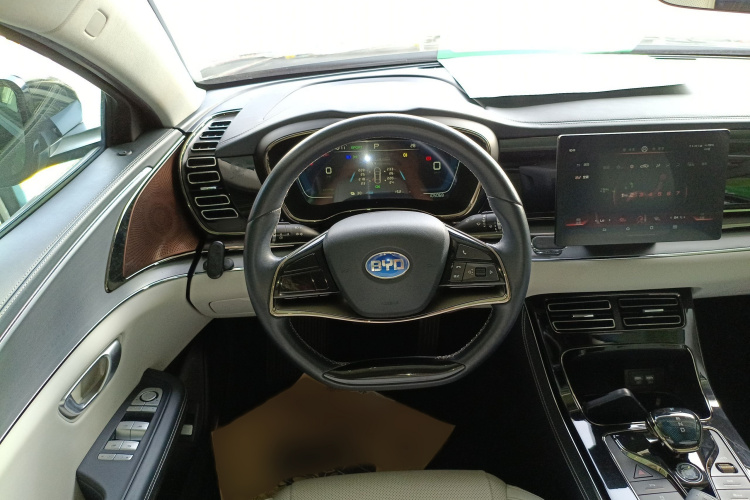 BYD e9 2021 #14 BYD e9 2021 immagine di auto #14