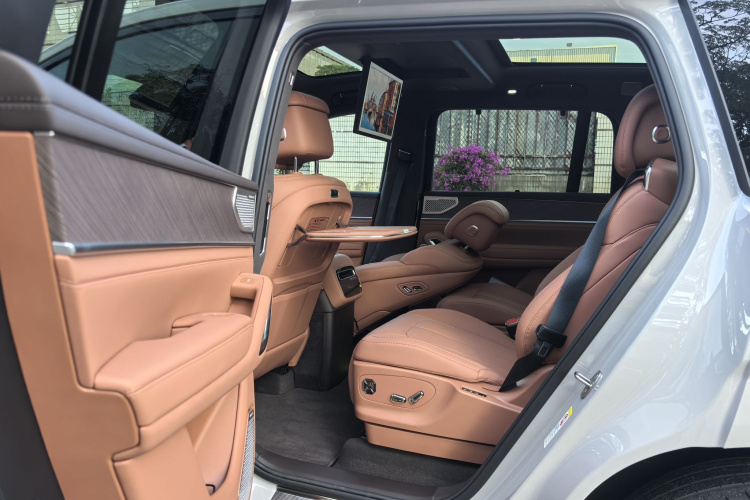 Denza N9 car image #14