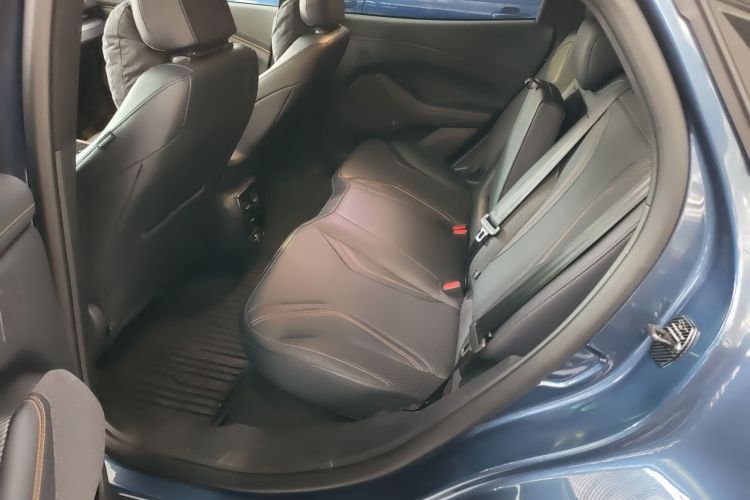 Ford Mustang Mach-E 2022 car image #14