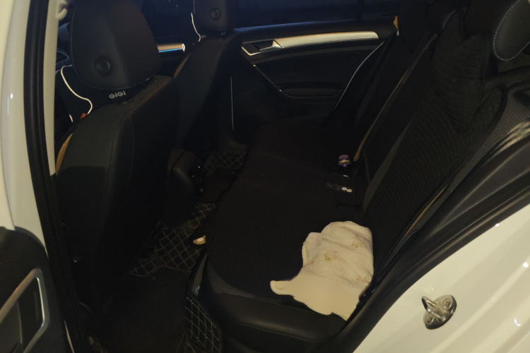 Volkswagen Golf Pure Electric 2020 imagen de coche #14