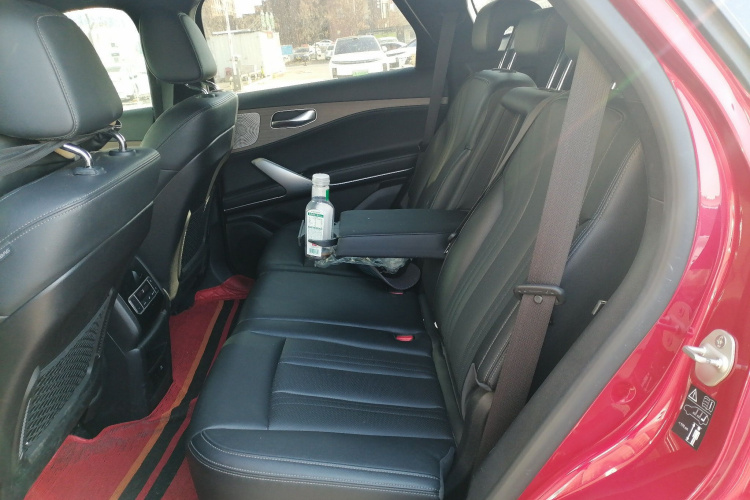 Denza X 2020 car image #14