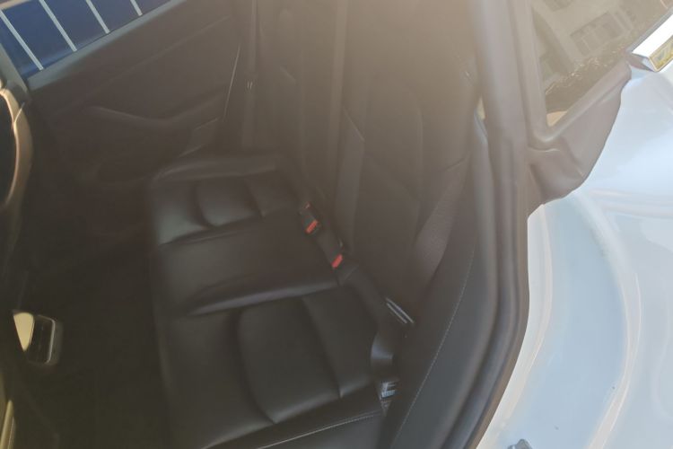 特斯拉 Model 3(进口) 2019 汽车图片 #14