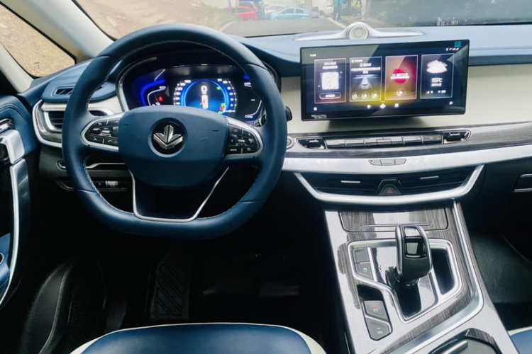 睿蓝汽车 枫叶80v PRO 2023 汽车图片 #14