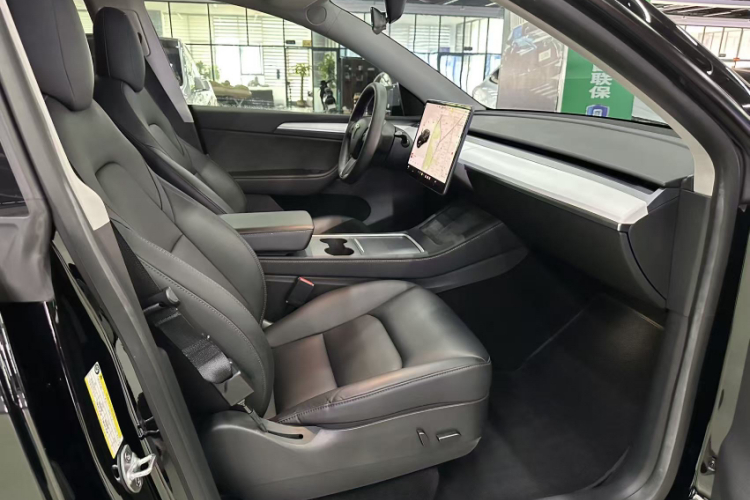 Tesla Model Y 2022 car image #14