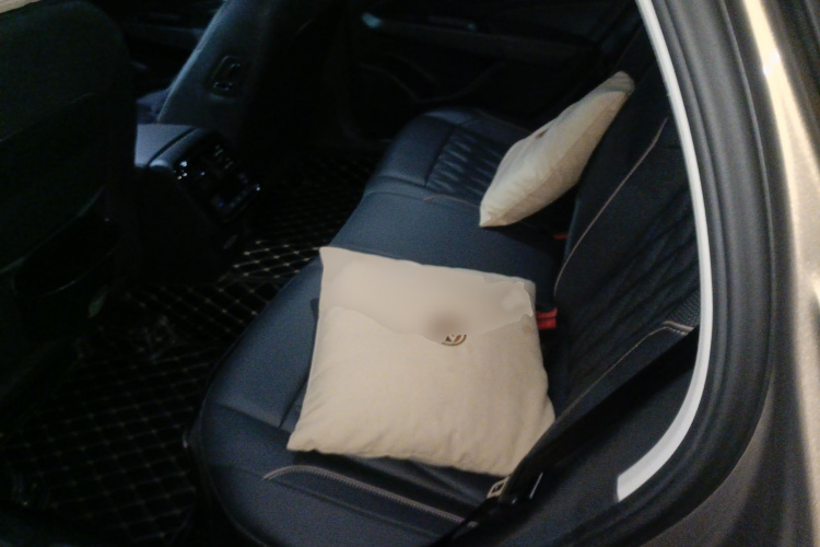 Volkswagen Passat New Energy 2019 #14 Volkswagen Passat New Energy 2019 صورة سيارة #14