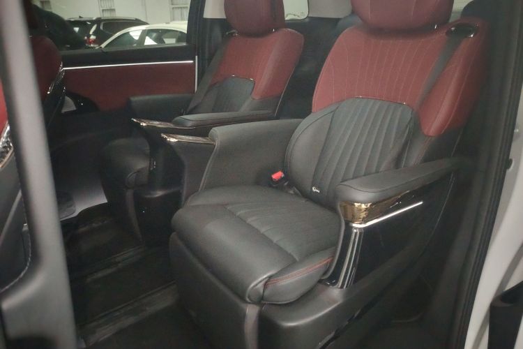 GAC Trumpchi E9 2024 car image #14