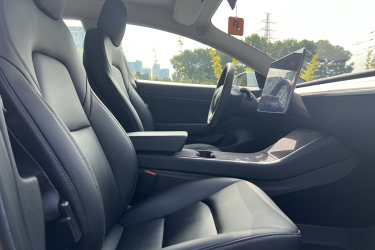 Tesla Model 3 2020 صورة سيارة #14