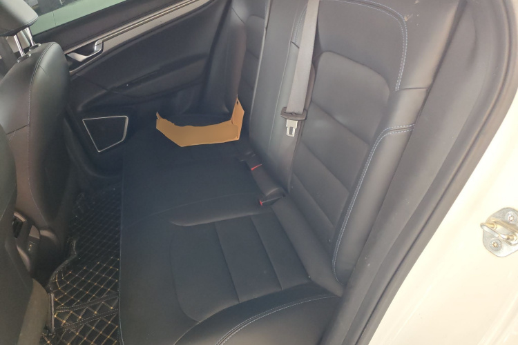 睿蓝汽车 枫叶60s 2022 汽车图片 #14