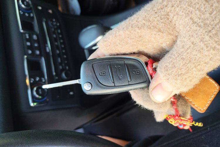 Citroen C5 2016 immagine di auto #14