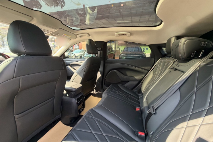 Ford Mustang Mach-E 2023 car image #14