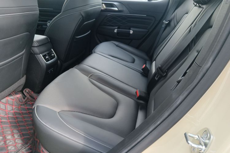 Tank 300 New Energy 2025 car image #14