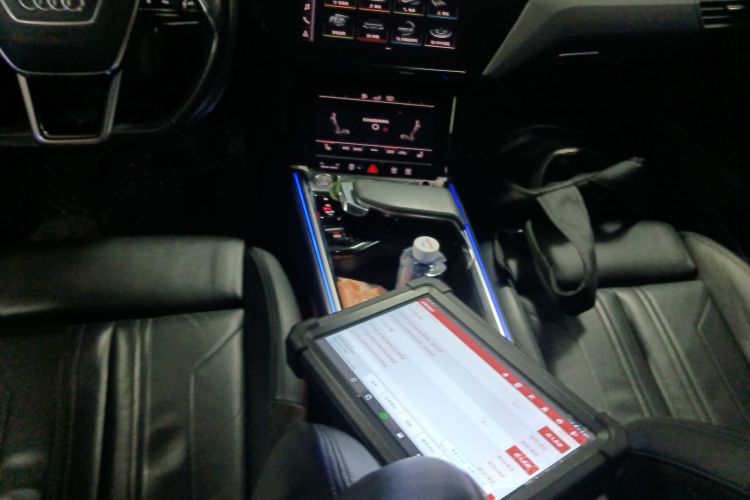 Audi e-tron (Imported) 2020 car image #14