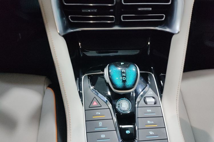 BYD Song Plus New Energy 2021 immagine di auto #14