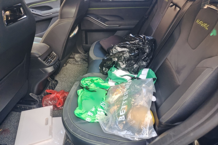 Haval H6S 2022 car image #14