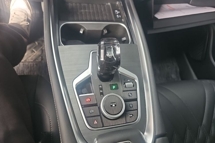 Chery Tiggo 7 Plus 2023 car image #14