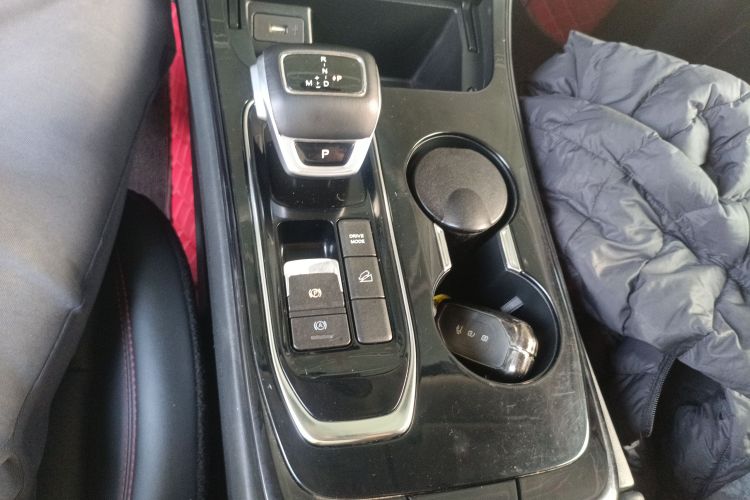 Forthing T5 EVO 2021 car image #14