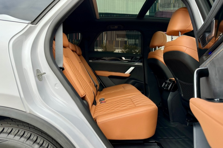 BYD Tang New Energy 2023 car image #14