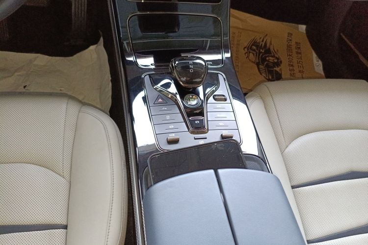 BYD e9 2021 car image #14