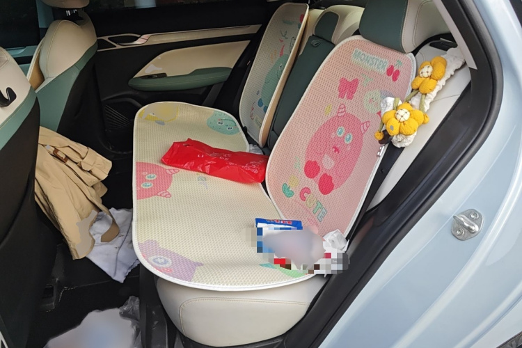 GEELY Emgrand L HiP 2023 car image #14