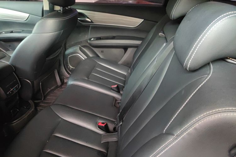 BYD Song MAX New Energy 2019 #14 BYD Song MAX New Energy 2019 car image #14