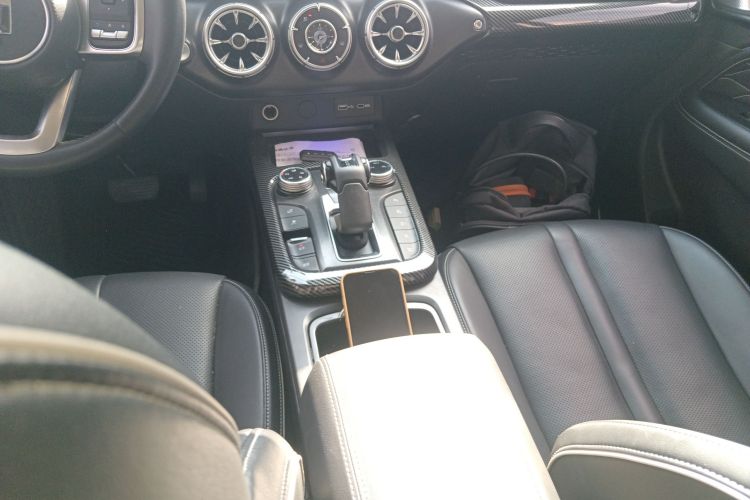 Tank 300 2021 car image #14