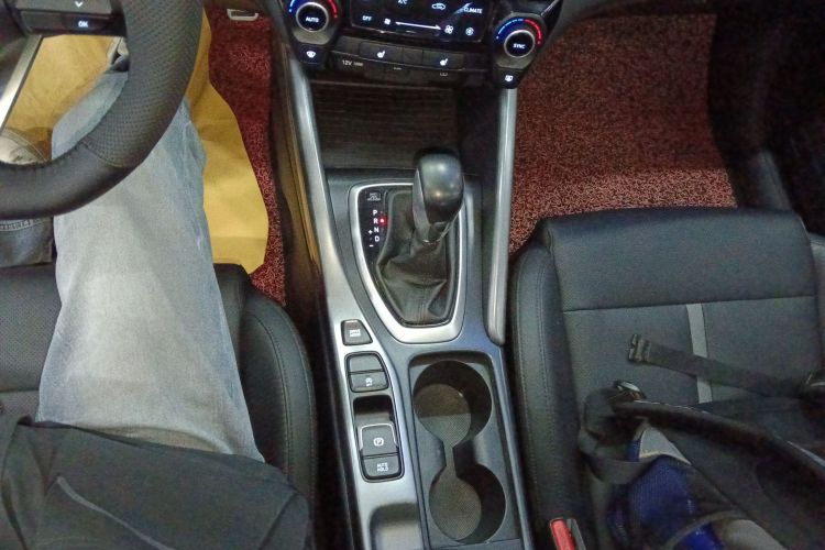 Hyundai Lafesta 2020 imagen de coche #14