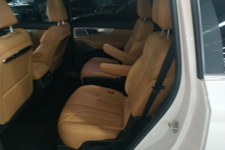 GAC Trumpchi ES9 2023 #14 GAC Trumpchi ES9 2023 car image #14