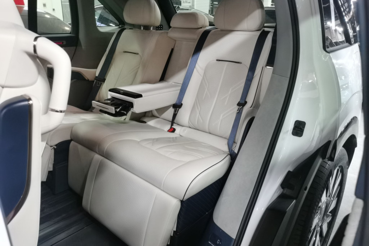 极氪 极氪MIX 2024 汽车图片 #14