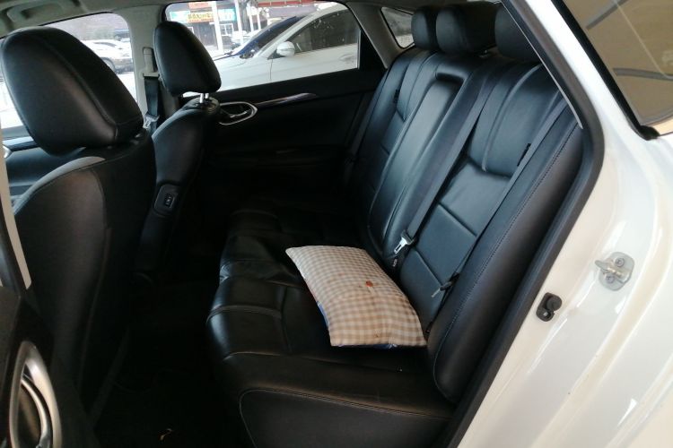 日产 轩逸·纯电 2018 汽车图片 #14