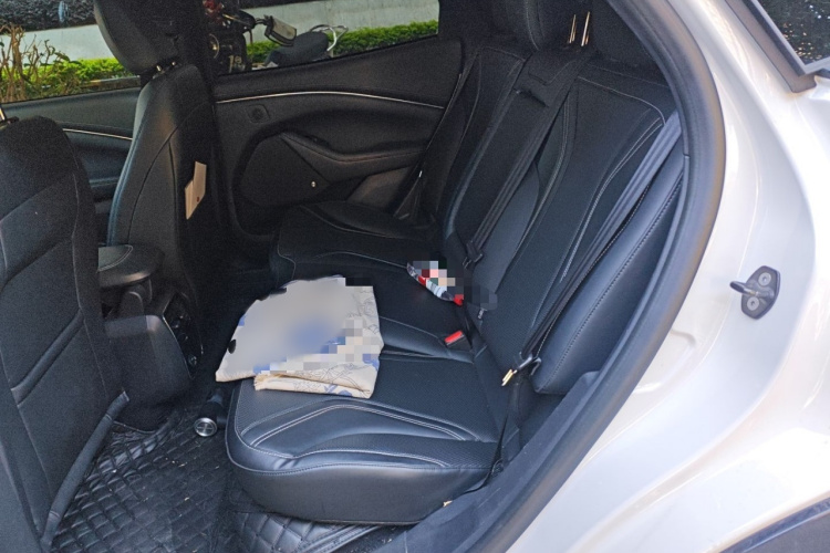 Ford Mustang Mach-E 2022 #14 Ford Mustang Mach-E 2022 car image #14