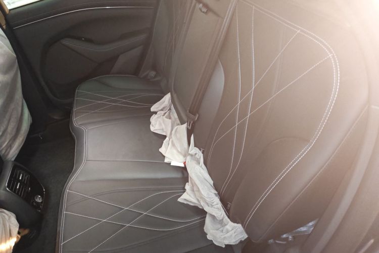 Ford Mustang Mach-E 2023 car image #14