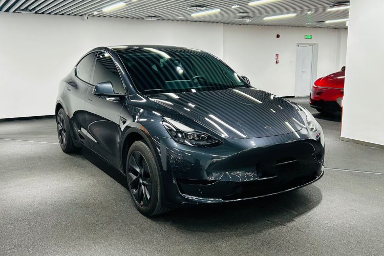 Tesla Model Y 2024 car image #14