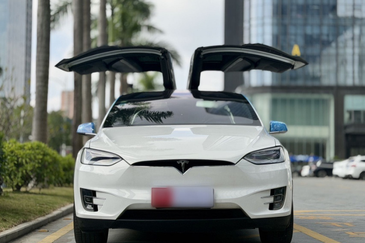Tesla Model X 2019 immagine di auto #14