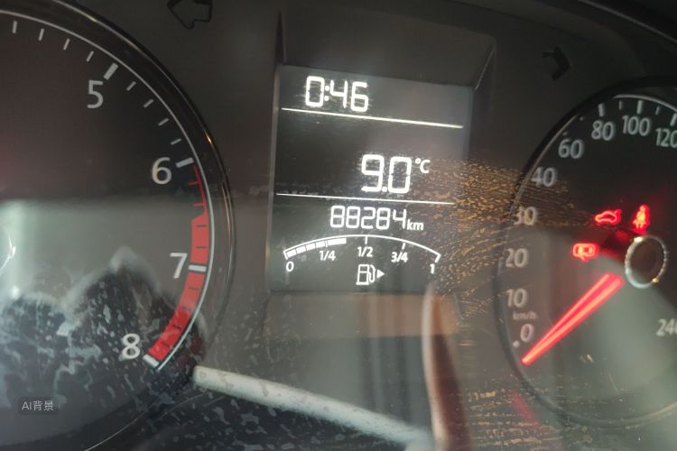 Polo 2016 immagine di auto #14