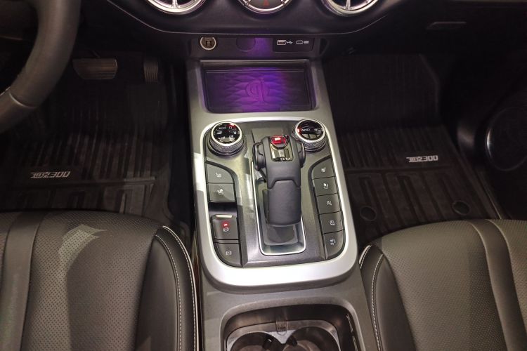 Tank 300 2022 #14 Tank 300 2022 car image #14