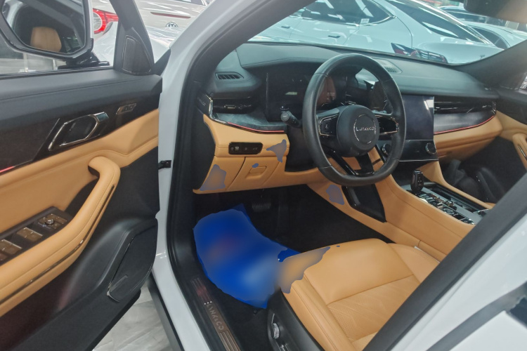 Lynk & Co 09 EM-P 2022 car image #14