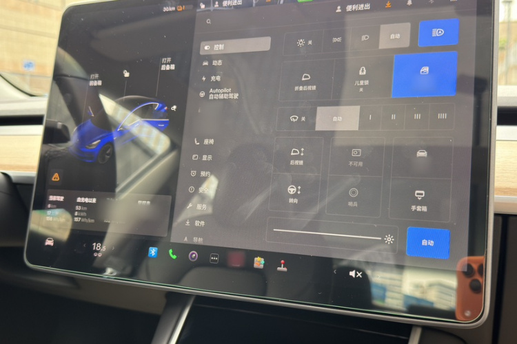Tesla Model 3 2020 car image #14