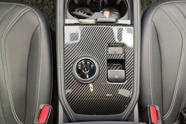 Ford Mustang Mach-E 2022 #14 Ford Mustang Mach-E 2022 car image #14